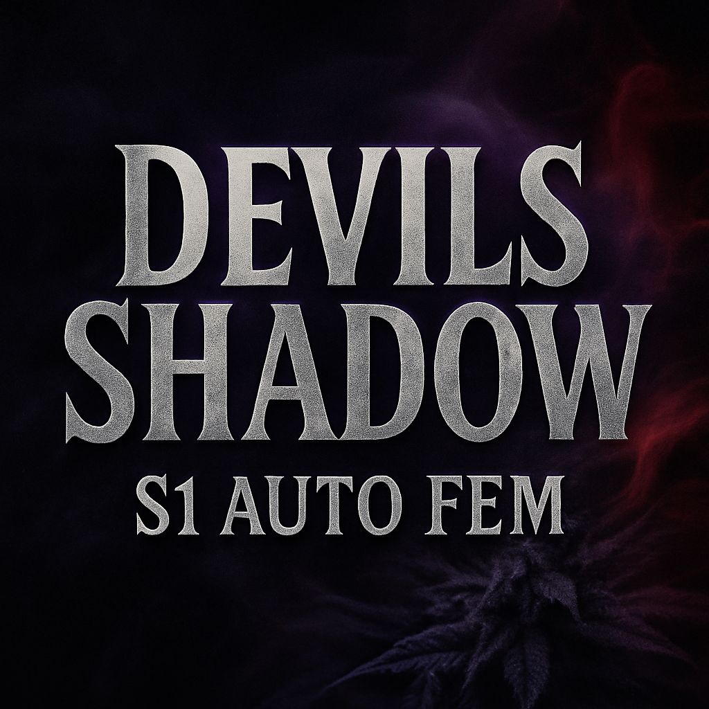 The Devil’s shadow S1