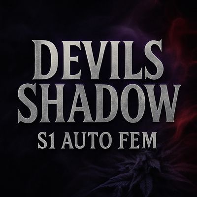 The Devil’s shadow S1