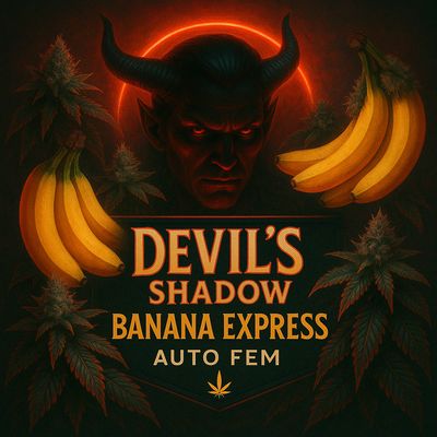 ​Devil’s Shadow x Banana Express – “Sinister Smoothie”