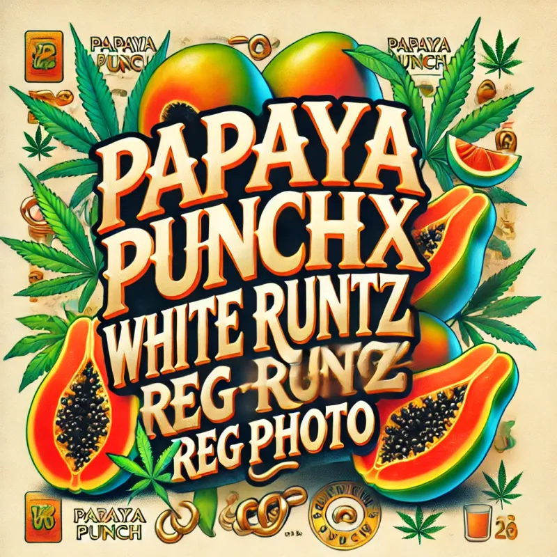 Papaya Punch x White Runtz – “Creamsicle KO”