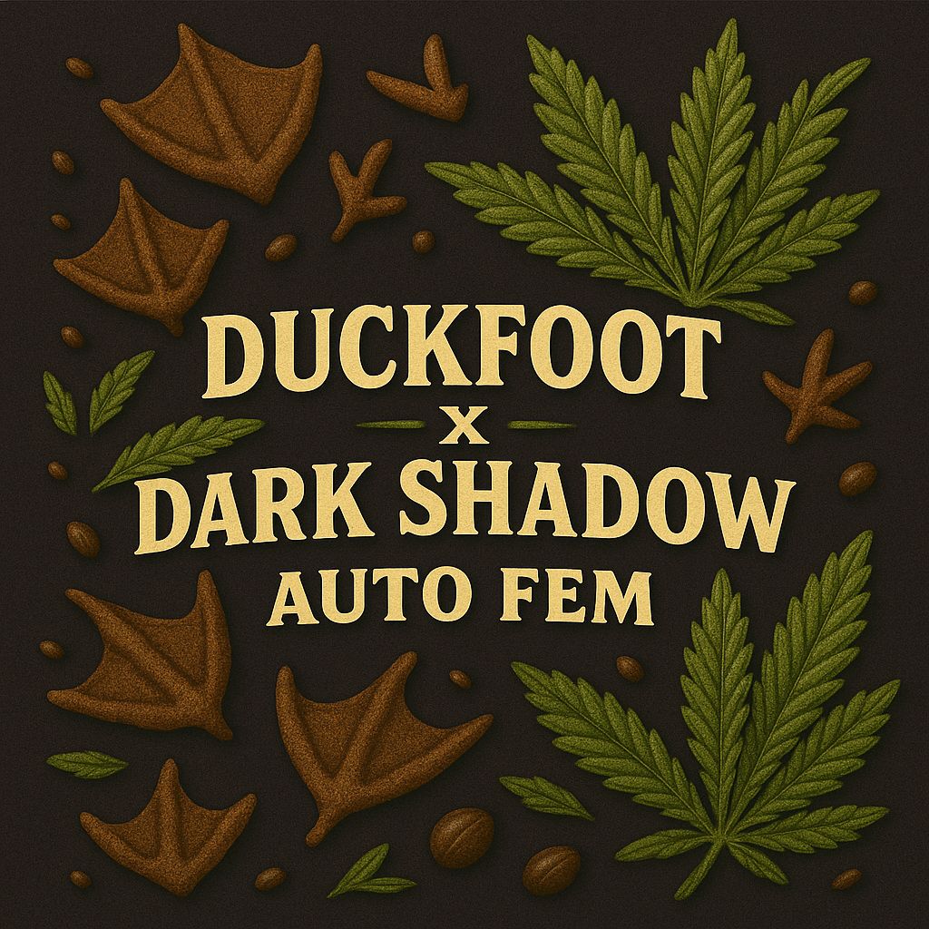 Duck Shadow (Duck Foot x Devil’s Shadow)