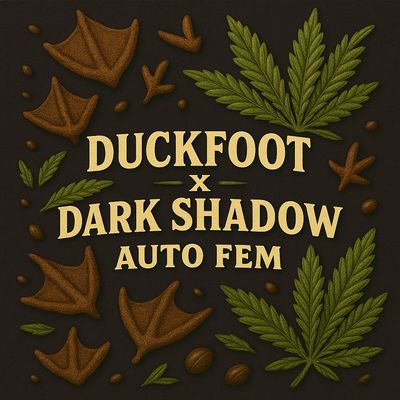 Duck Shadow (Duck Foot x Devil’s Shadow)
