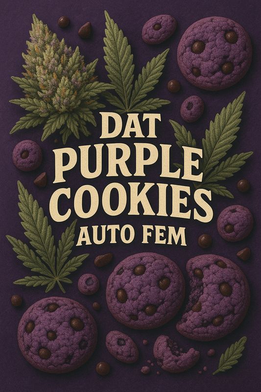 DAT Purple Cookies