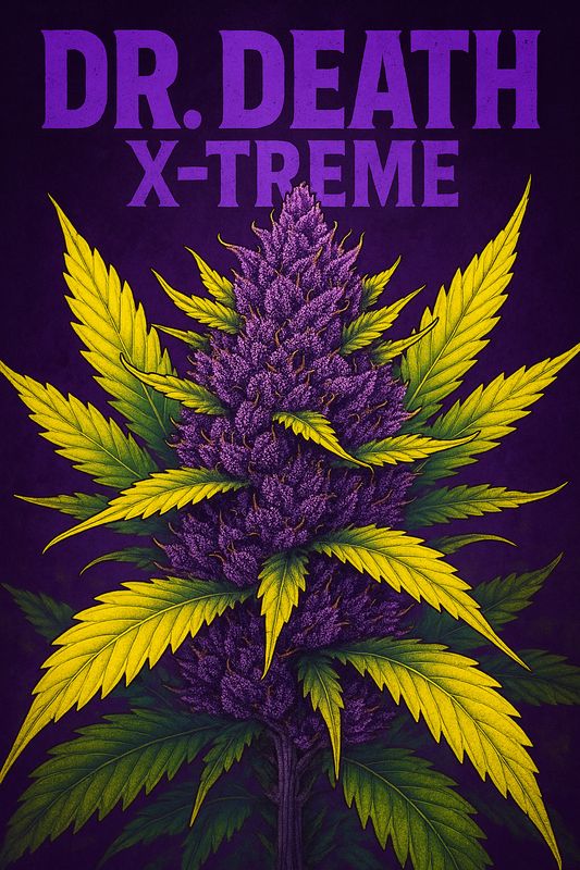 Dr. Death X-treme Auto Fem