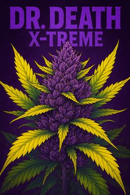 Dr. Death X-treme Auto Fem