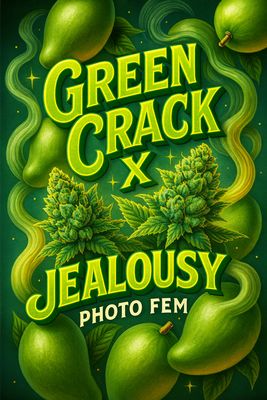 Green Crack x Jealousy Photo Fem