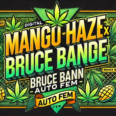 Old School Mango Haze X Bruce Banner