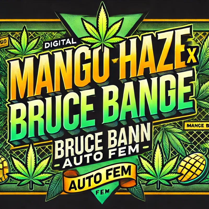 Old School Mango Haze X Bruce Banner