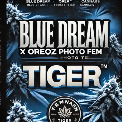 Blue Dream x Oreoz Photo Fem