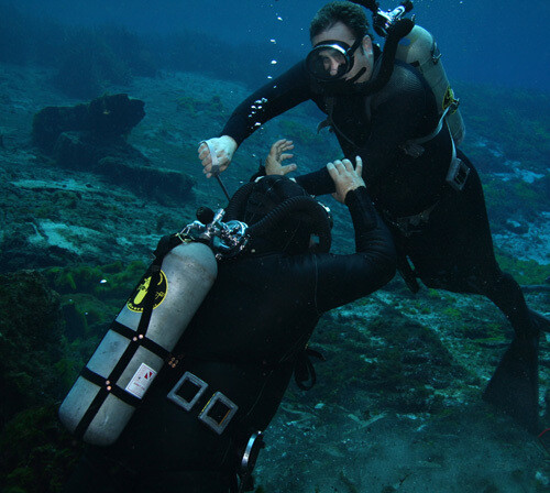 Basket Harness By A and D Adventures