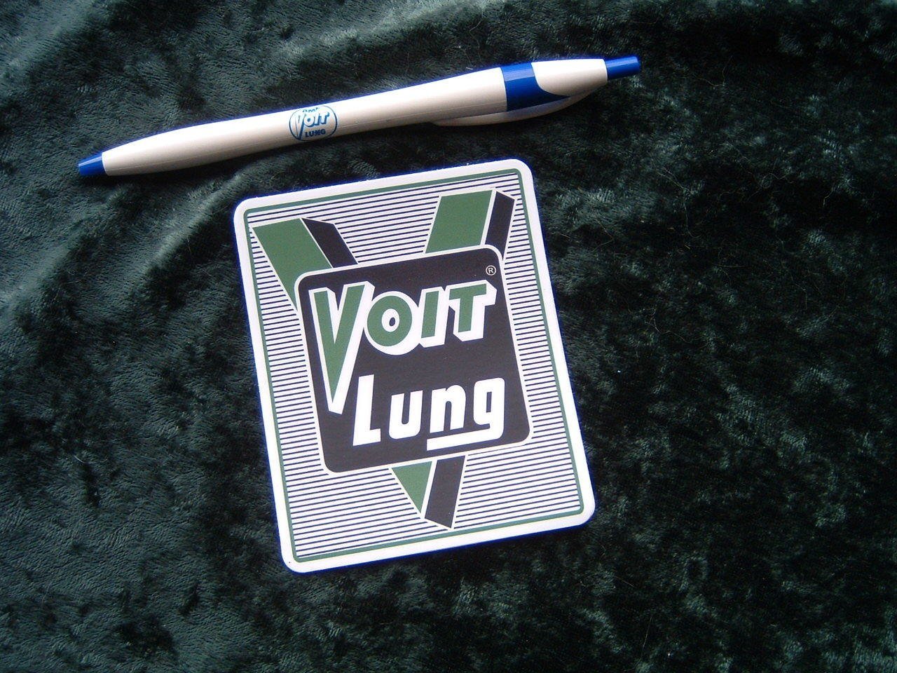 Voit Lung decal, reproduction