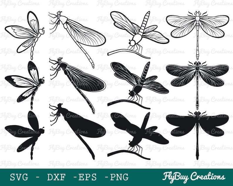 Pretty Dragonfly Svg