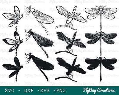 Pretty Dragonfly Svg