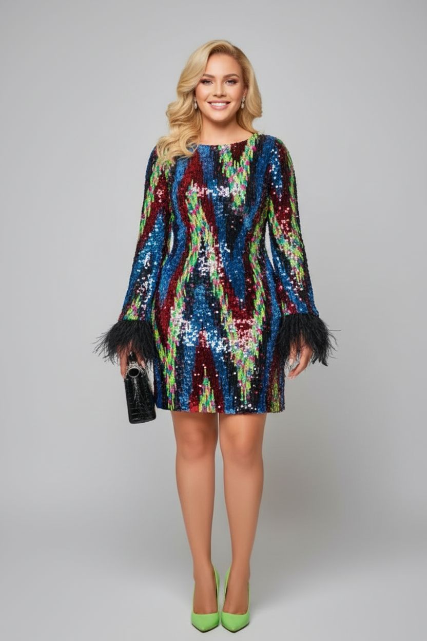 Sequin Feathered Sleeve Dress