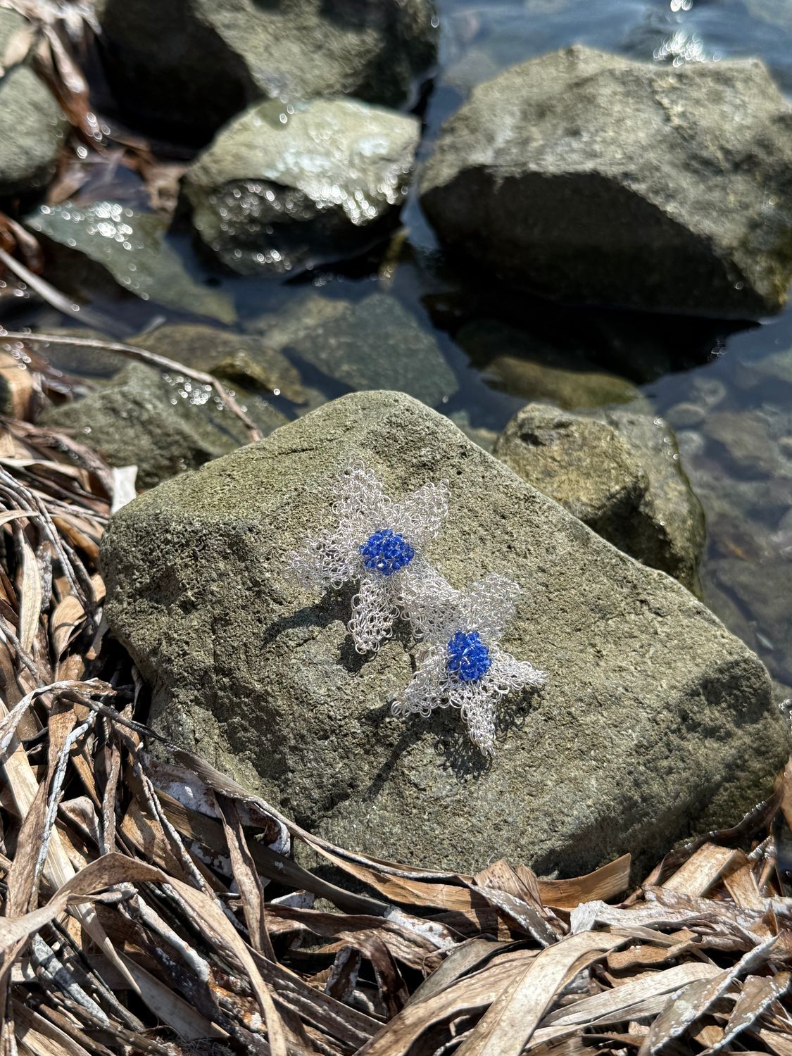 Pendientes estrella de mar con Circonitas azules