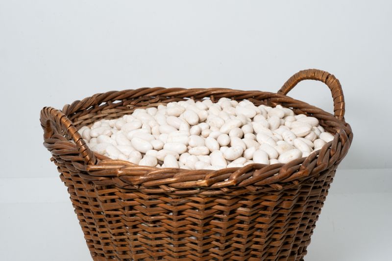 ALUBIA BLANCA BARCO DE ÁVILA