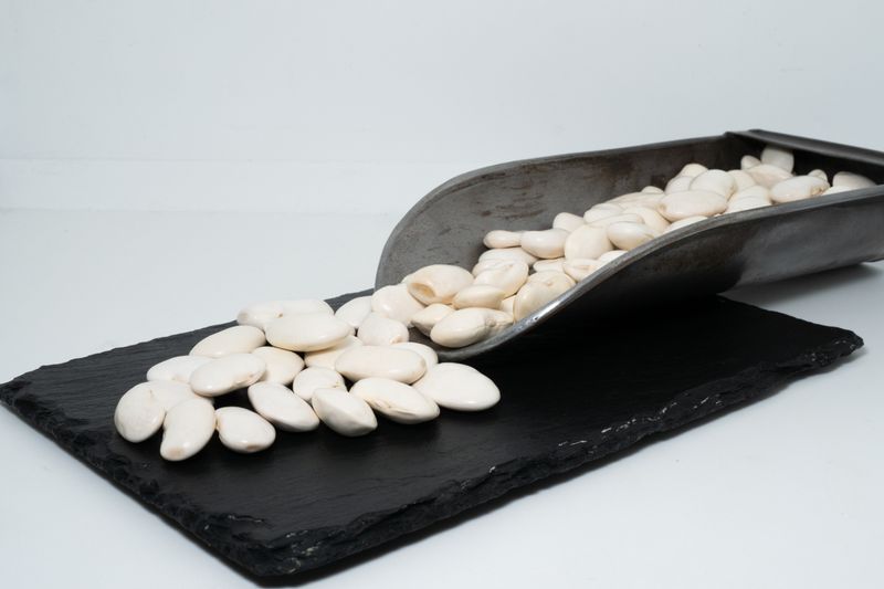 JUDIÓN DE LA GRANJA