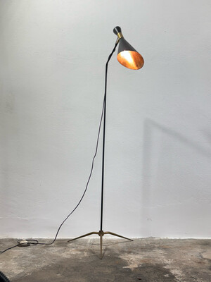 Giuseppe Ostuni Floor Lamp MID-Century Design Stilnovo Style 1950
