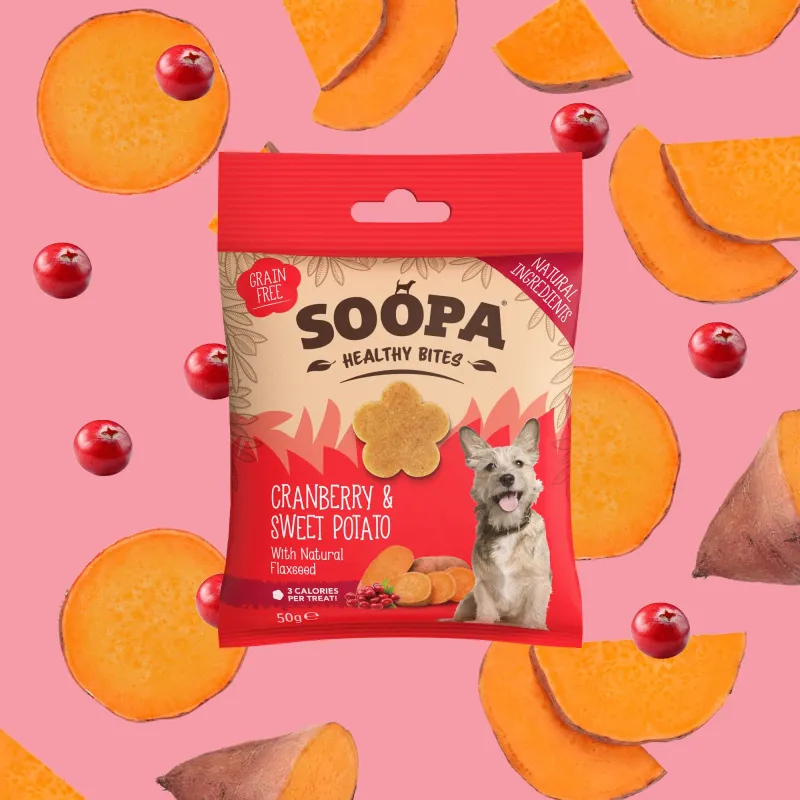 SOOPA SNACK BITES CANE MIRTILLI E PATATE