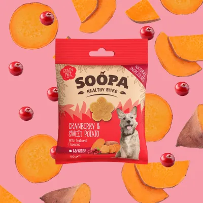 SOOPA SNACK BITES CANE MIRTILLI E PATATE