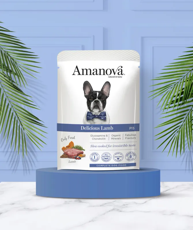 AMANOVA POUCH CIBO UMIDO AGNELLO 100 GR