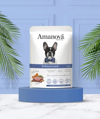 AMANOVA POUCH CIBO UMIDO AGNELLO 100 GR