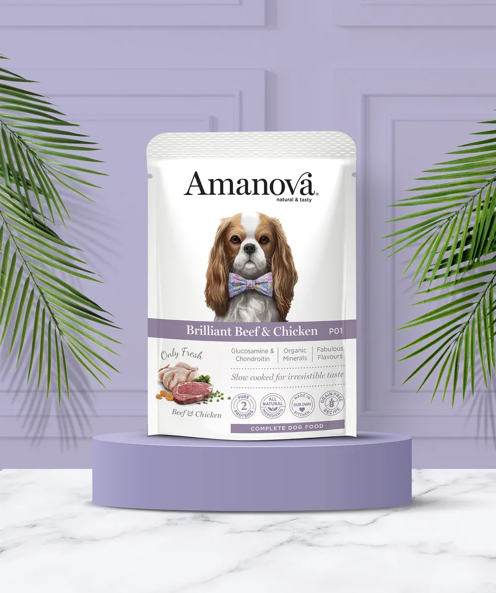 AMANOVA POUCH CIBO UMIDO MANZO E POLLO 100 GR