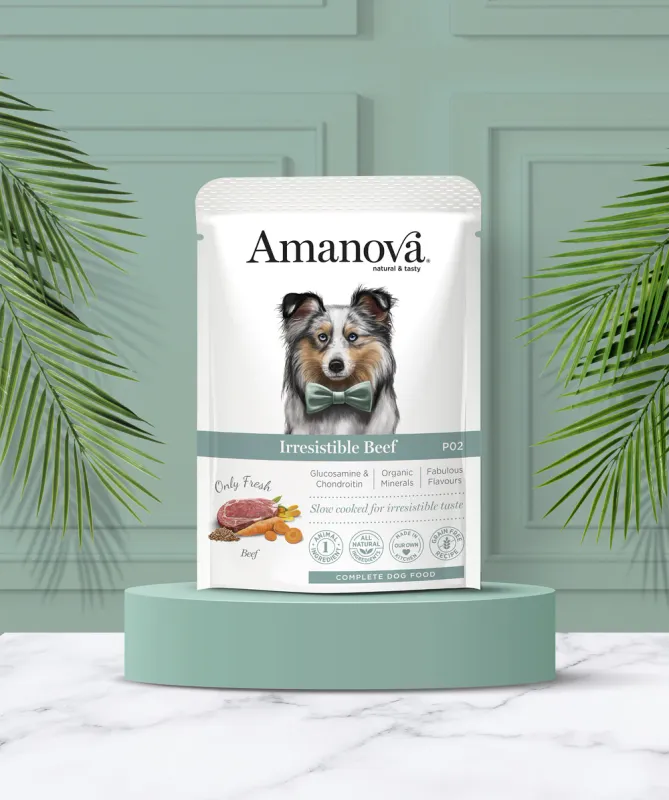 AMANOVA POUCH CIBO UMIDO MANZO 100 GR