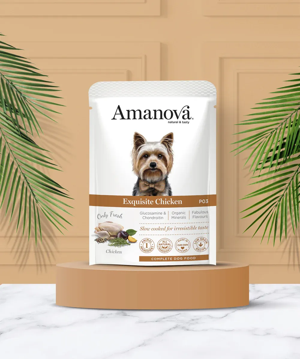 AMANOVA POUCH CIBO UMIDO POLLO 100 GR