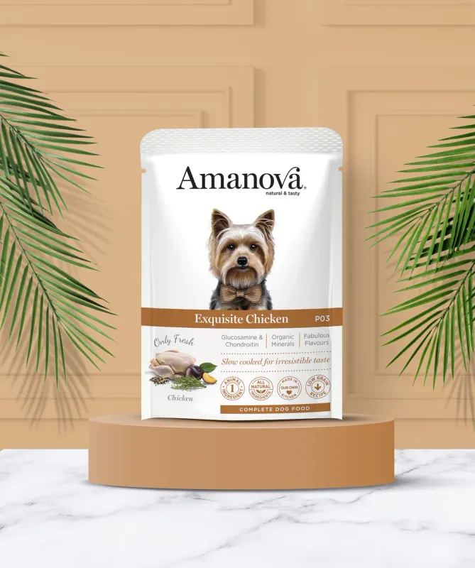 AMANOVA POUCH CIBO UMIDO POLLO 100 GR