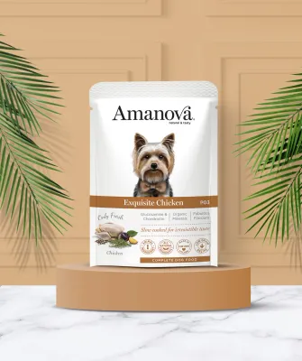 AMANOVA POUCH CIBO UMIDO POLLO 100 GR