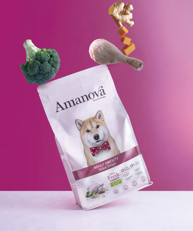 AMANOVA CANE ALL BREED OBESITY TACCHINO 2 KG