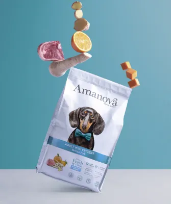 AMANOVA CANE MINI EXIGENT MAIALE 2 KG