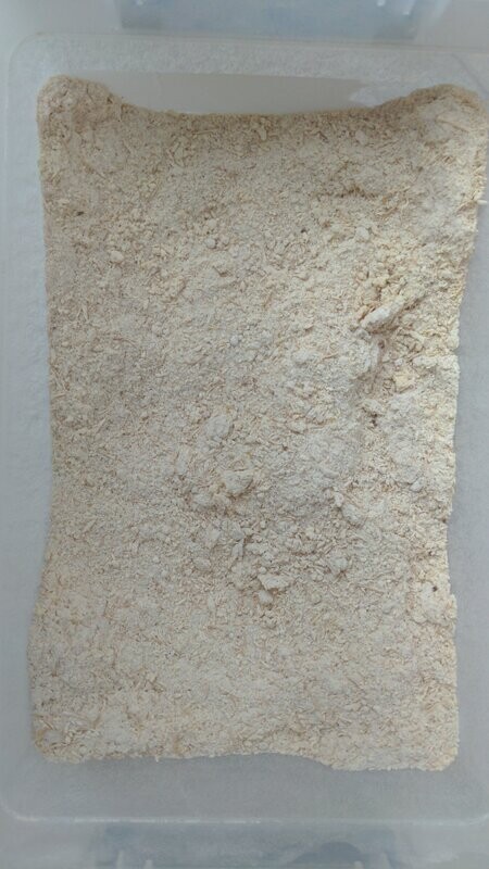 Igelstachelbart - Pulver