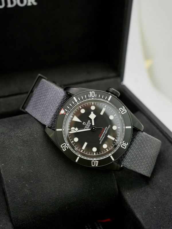 ​Tudor Black Bay