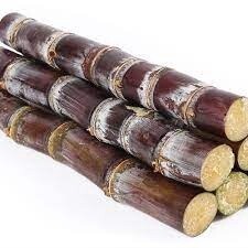 Black Sugar Cane (90cm)