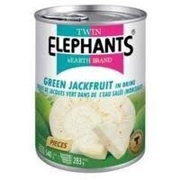 T.E Green Jackfruit in Brine 540g