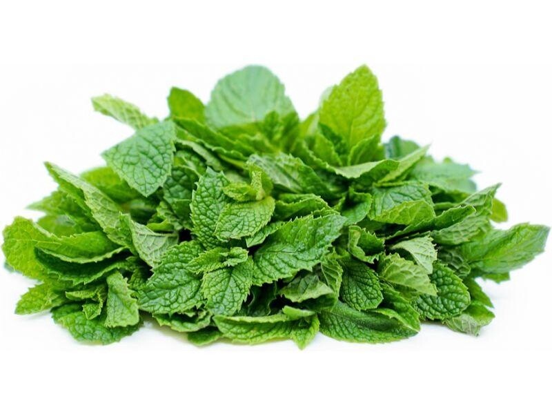 Mint 1 Bunch