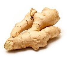 Ginger