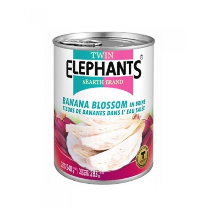 T.E Banana Blossom in Brine 540g