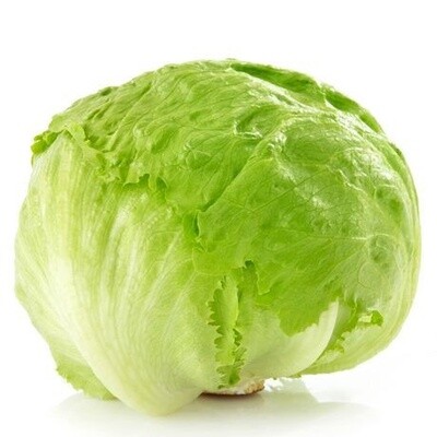 Iceberg Lettuce 圆生菜
