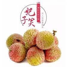 Lengcheng Lychee 530g