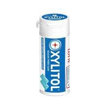 XYLITOL Fresh Mint 29g