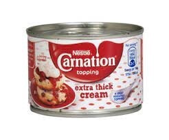 Nestle Extra Thick Cream 170g