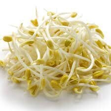 Beans Sprout (Soy Bean) 400g