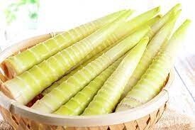 Young Bamboo Shoot 500g