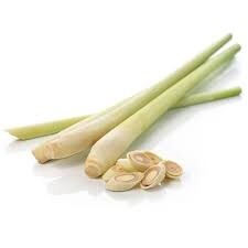 Lemon Grass 香茅