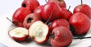 Hawthorn Berry