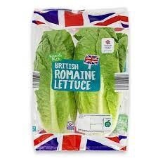 British Romanie Lettuce