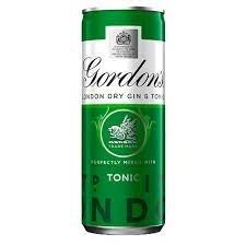 Gordons Gin & Tonic PM219